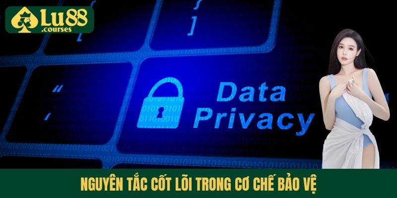 Chính sách bảo mật - Nguyên tắc cốt lõi trong cơ chế bảo vệ